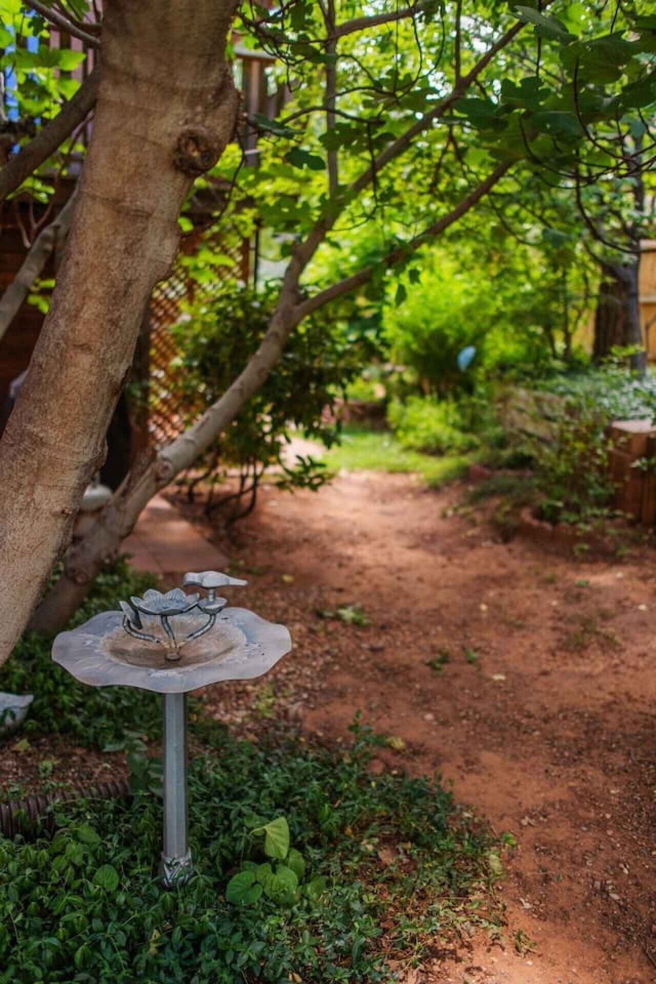 A garden path with a birdbath and lush greenery.
