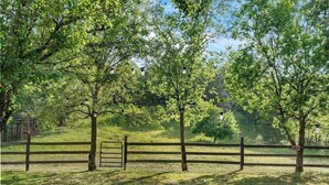 A fenced outdoor area with trees and a metal gate. - Atchley Hill Farm (Knoxville)