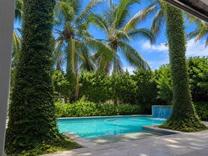 A swimming pool surrounded by lush greenery and palm trees. - Pelican Beach Mansion (Fort Lauderdale)