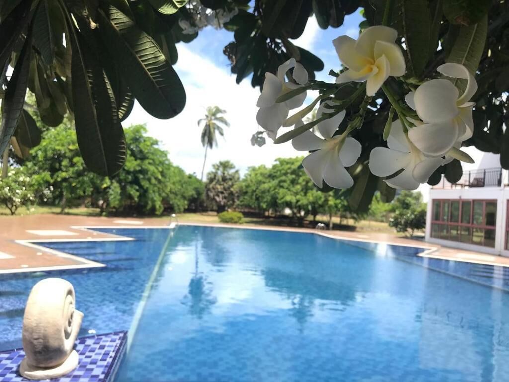 Deluxe Double Room, Balcony, Pool View | Pool | Outdoor pool