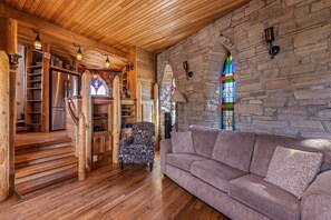 TV, fireplace, books