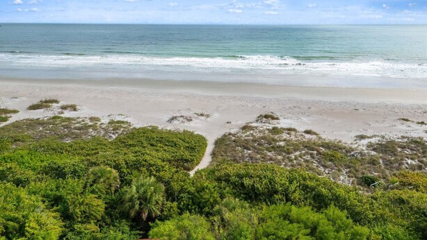 Ein Strand mit freiem Blick auf den Ozean, sandigem Ufer und dichter grüner Vegetation im Vordergrund.