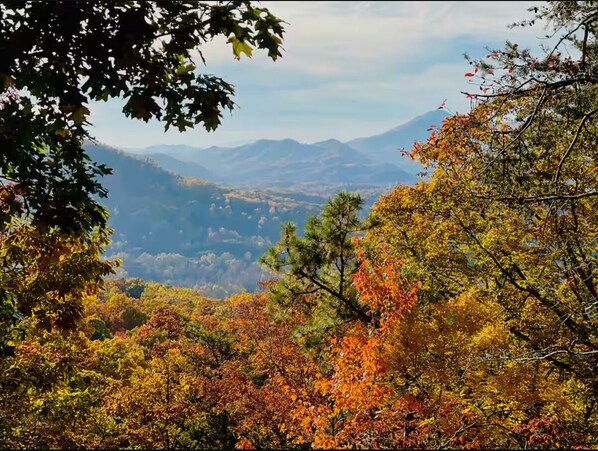 Miscellaneous - Secluded Mt Farmer Cabin + Hot Tub (Newport)