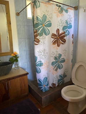 A bathroom with a shower curtain, a sink, a toilet, and a mirror.