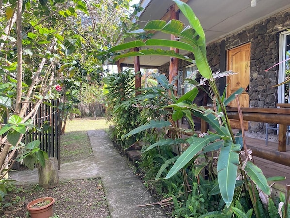 A garden pathway leading to a stone building with a wooden door and a window.