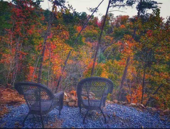 Property grounds - Cozy 1-bedroom cabin in adorable Newport with AC comfort (Newport)