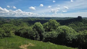 Un paisaje con diversos árboles y una colina distante.