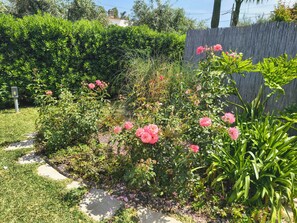 Ein Garten mit rosa Blüten und grünem Laub.