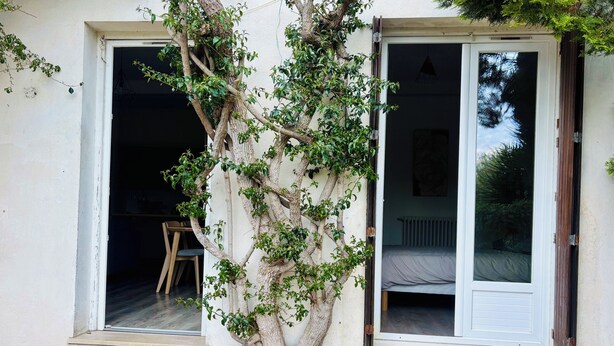A tree with climbing plants in front of a building with two open doors leading to a room with a bed and a chair. - Family home sleeps 12, lush garden, sea view. Close to beaches. (Roquebrune-Cap-Martin)
