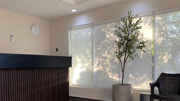 A reception area with a reception desk, a potted plant, a wall clock, and a window with a view of trees. - Hotel los Pinos (Cadereyta Jiménez)