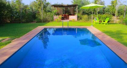 Magnificent house with a large swimming pool surrounded by olive trees and natu.