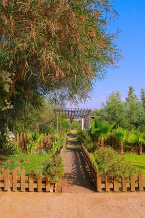 A garden pathway leading to a wooden pergola.