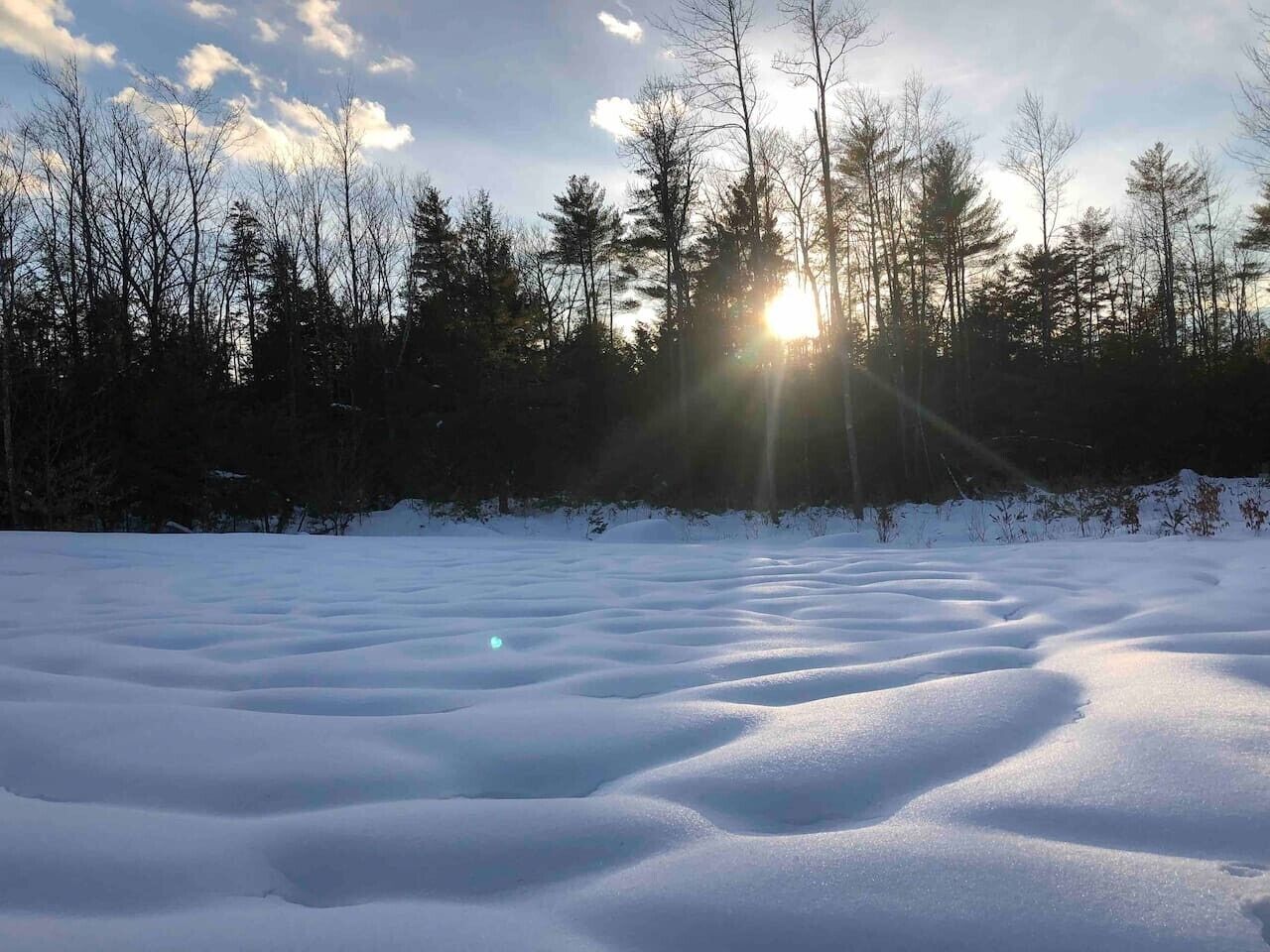 A snowy landscape with trees and the sun shining through.