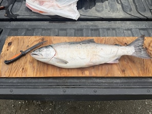 A fish on a wooden cutting board with a knife beside it, placed on a vehicle's bed.