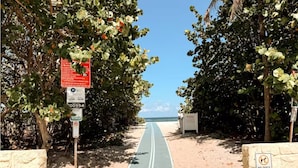 A pathway leading to a beach with a no dogs allowed sign, a parking sign, and a no parking sign.
