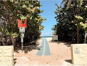 Un sendero que lleva a una playa, con un cartel que indica 'no se permiten perros', un cartel de estacionamiento y un cartel de 'prohibido estacionar'.