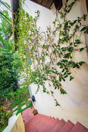 Property grounds - Hyde Park Haven (Tampa)