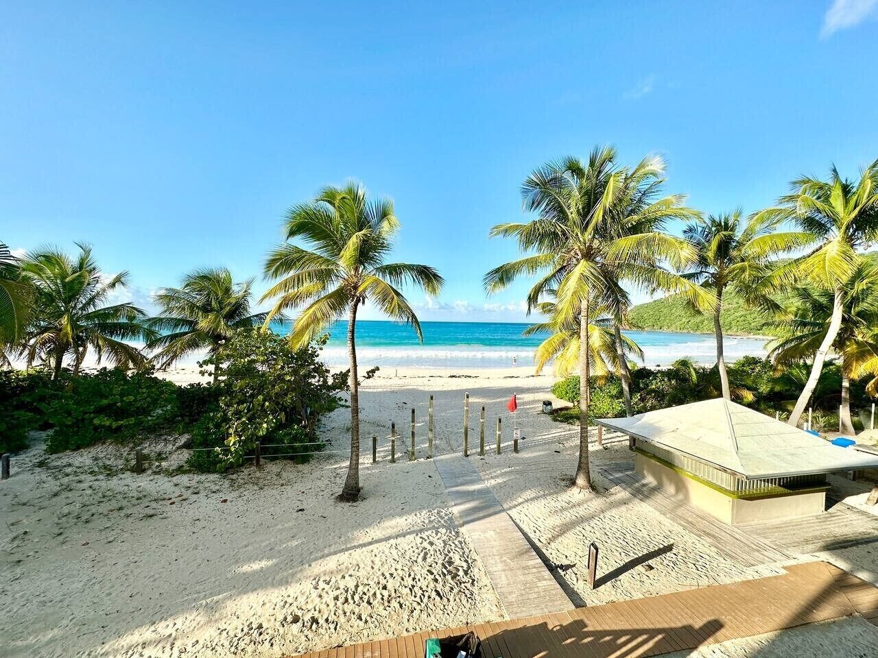 A beach with palm trees, a sandy path, and a building with a flat roof.