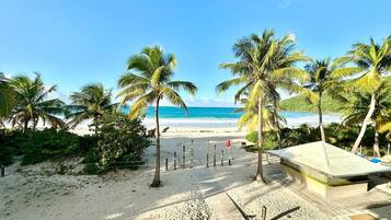 A beach with palm trees, a sandy path, and a building with a flat roof.