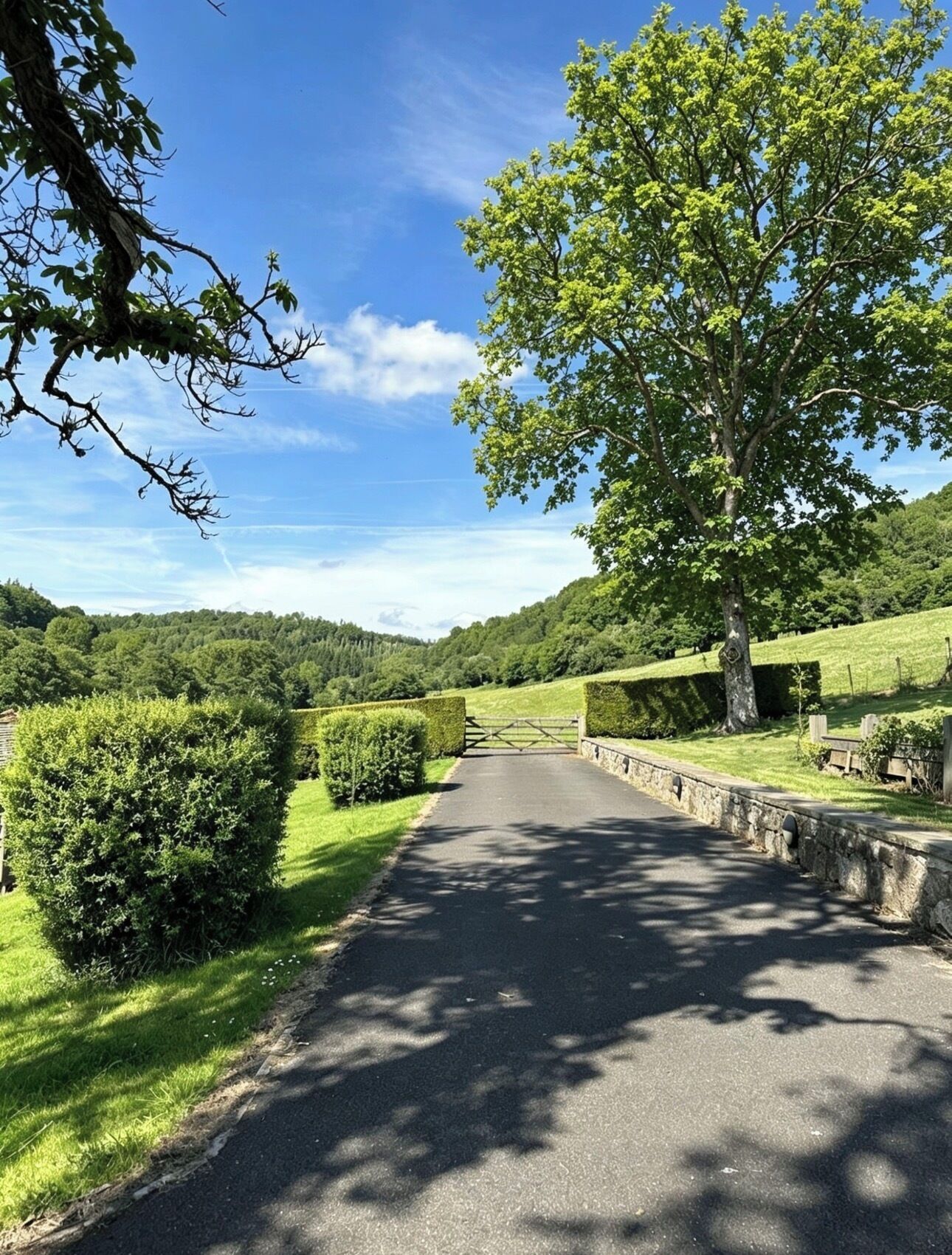 Un camí pavimentat que serpenteja per un paisatge rural ple d'arbres i setges.