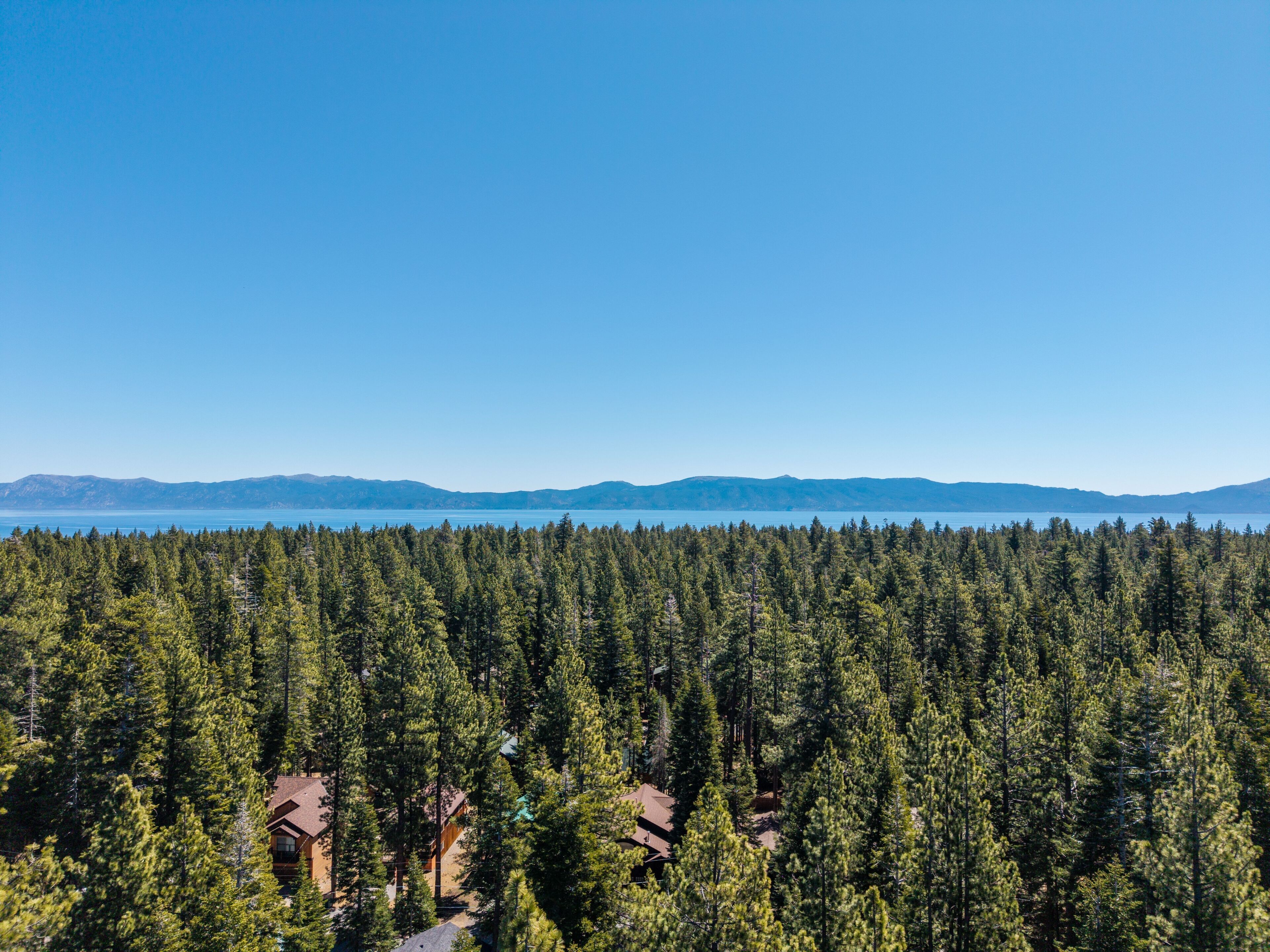 A forested area with a cabin and a mountain range in the background.