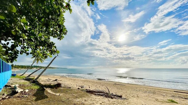 Ein Strand mit blauem Himmel, ruhiger See und einer Palme.