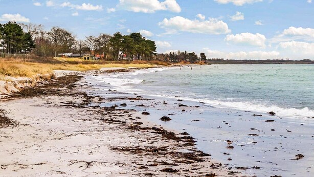 A beach with a sandy shore, seaweed, and a clear sky.