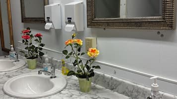Douche, serviettes fournies, papier de toilette