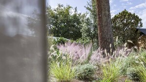 Ein Garten mit verschiedenen Pflanzen und Bäumen.