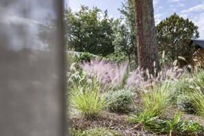 A garden with various plants and trees. - Charming house between Hossegor golf and Capbreton with patio under the pines (CAPBRETON)