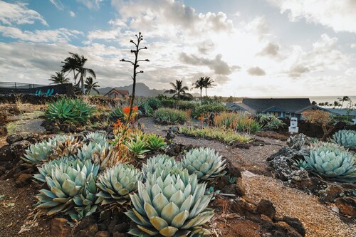 Poipu Pool House:  Private- Ocean Views -Amazing  -A/C-