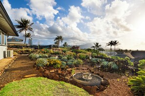 A garden with various plants and a small pond.