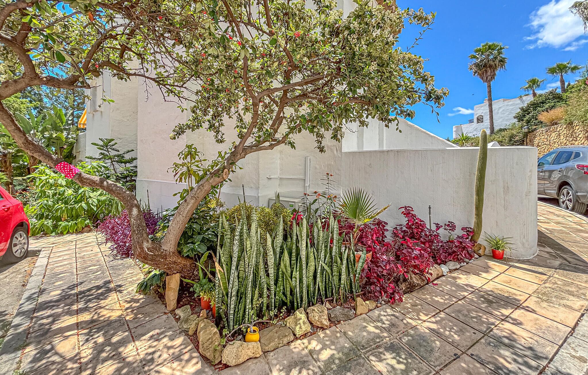 A garden with a variety of plants, a tree, and a white wall.