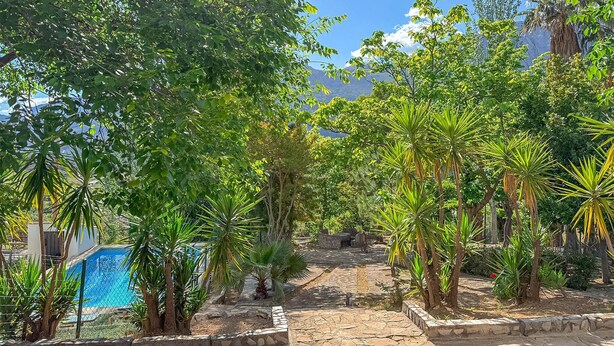 Ein Garten mit Schwimmbad, einem Kiesweg und verschiedenen tropischen Pflanzen.