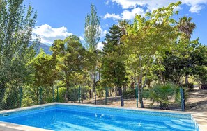 Une piscine rectangulaire à l’eau d’un bleu limpide, entourée de différents types d’arbres et d’une clôture.