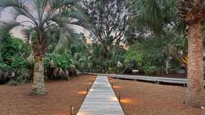 Un sentier en bois traverse un jardin où l’on trouve différentes espèces d’arbres et de plantes.