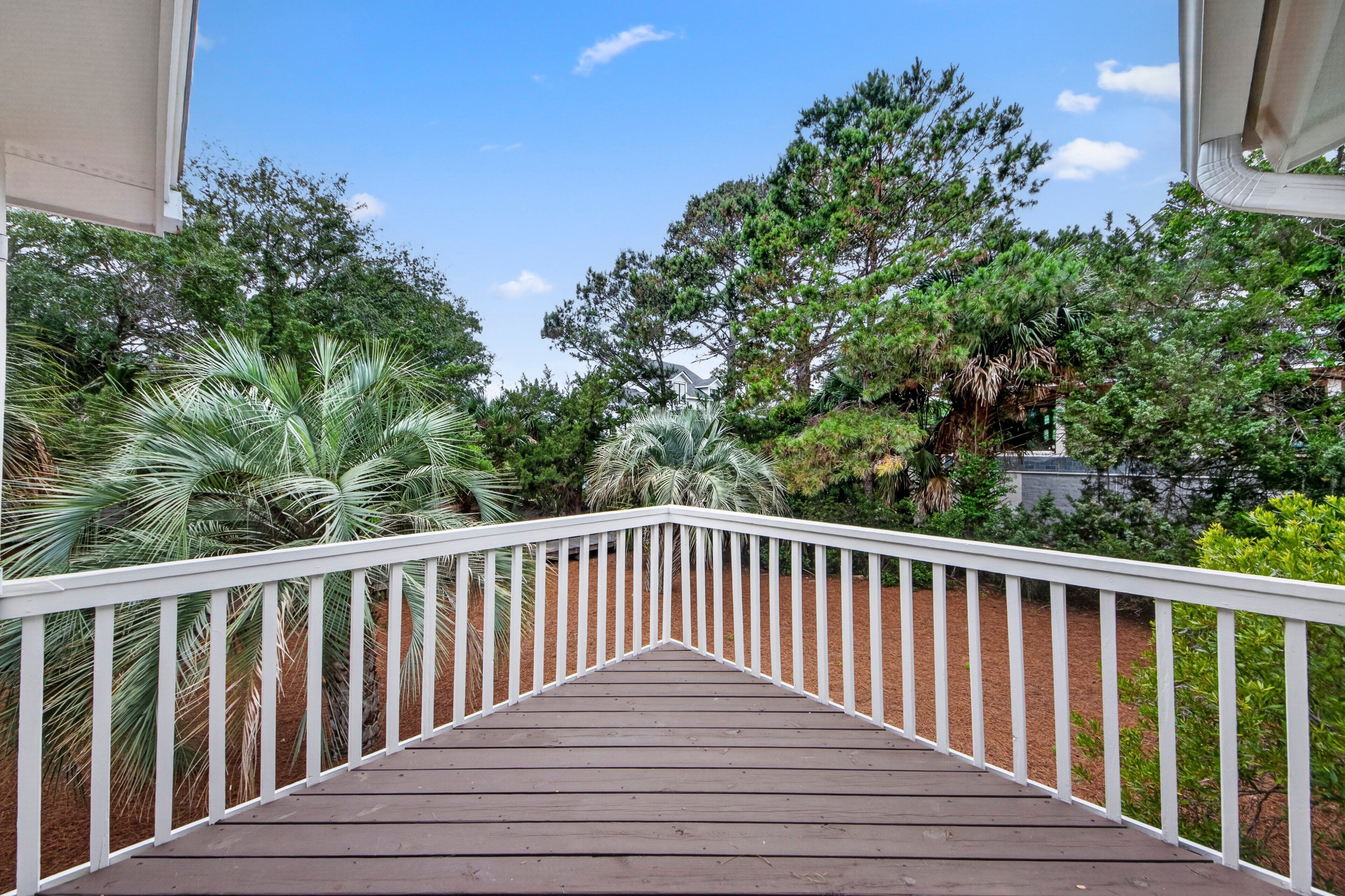 A wooden deck with white railings, surrounded by various trees and plants.