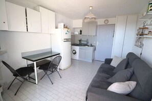 TV - Studio cabin, air-conditioned, near beach, garage (LE GRAU DU ROI)