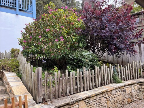 Cozy ADU in Carmel in Carmel by the Sea, walk to Ocean Ave and the beach.