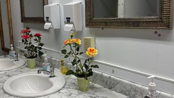 Shower, towels, toilet paper