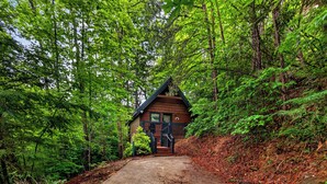 Eine Hütte, von einem Feldweg durch dichtes Waldgebiet hinaufgeführt.