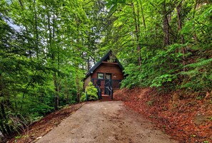 A cabin with a dirt path leading to it, surrounded by dense forest. - Location! Hot Tub, Privacy, Fireplace, Common Pool (Gatlinburg)