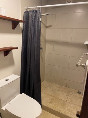 Shower, toilet paper - Hotel apartment for 4 people (Ojochal)