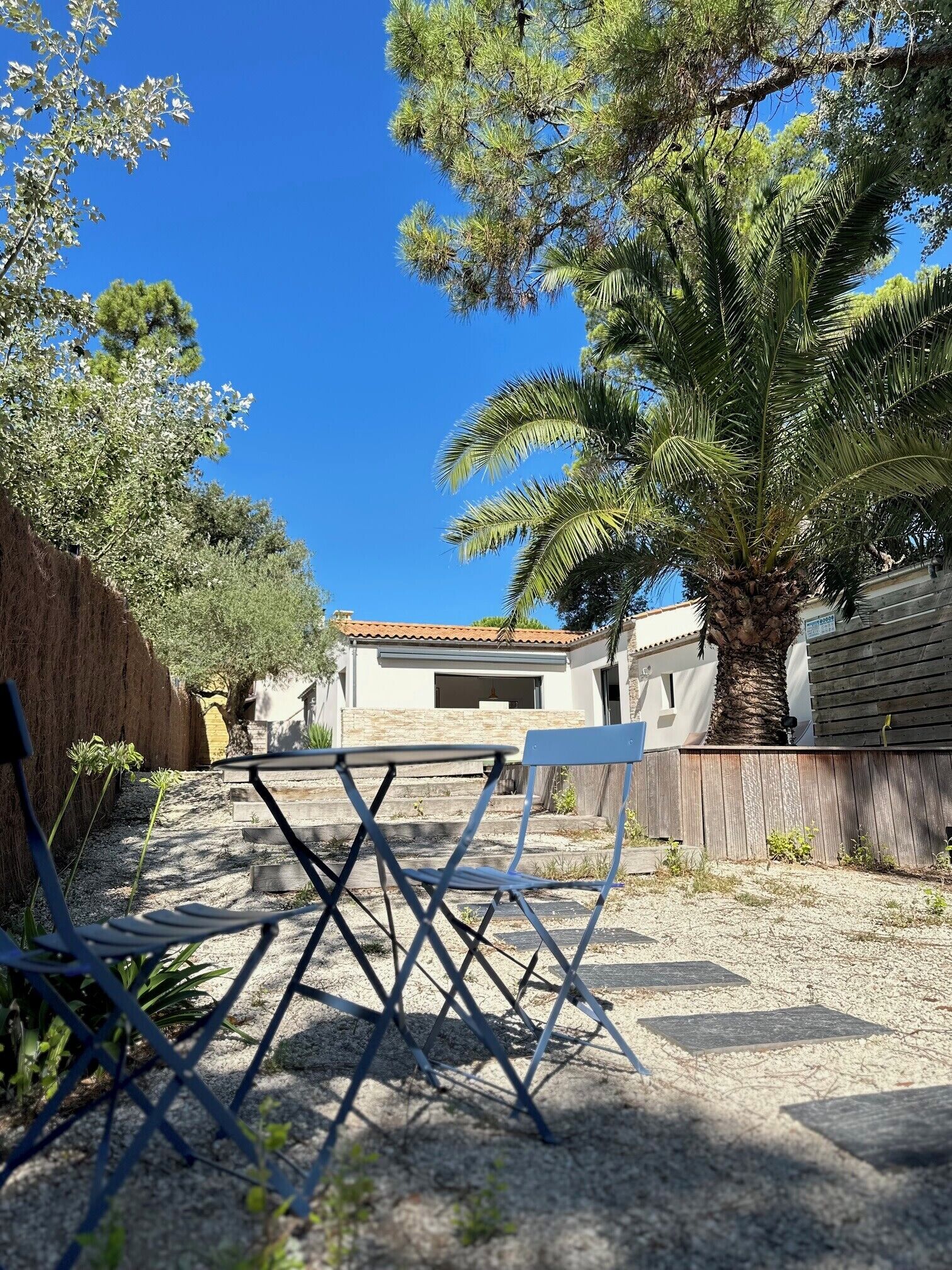 Een terras met stoelen, een palmboom en een huis op de achtergrond.
