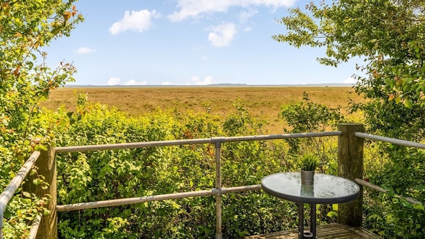 Eine Holzterrasse mit Metallgeländer, einem kleinen runden Tisch und einem Blumentopf.