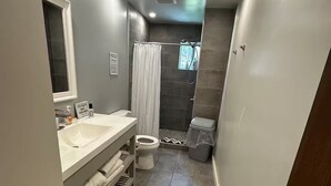 Uma casa de banho pequena com sanita, lavatório e zona de duche.