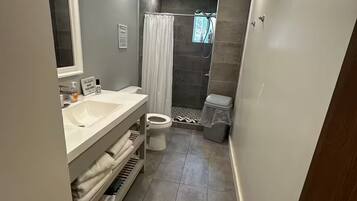 A narrow bathroom with a toilet, sink, and shower area.