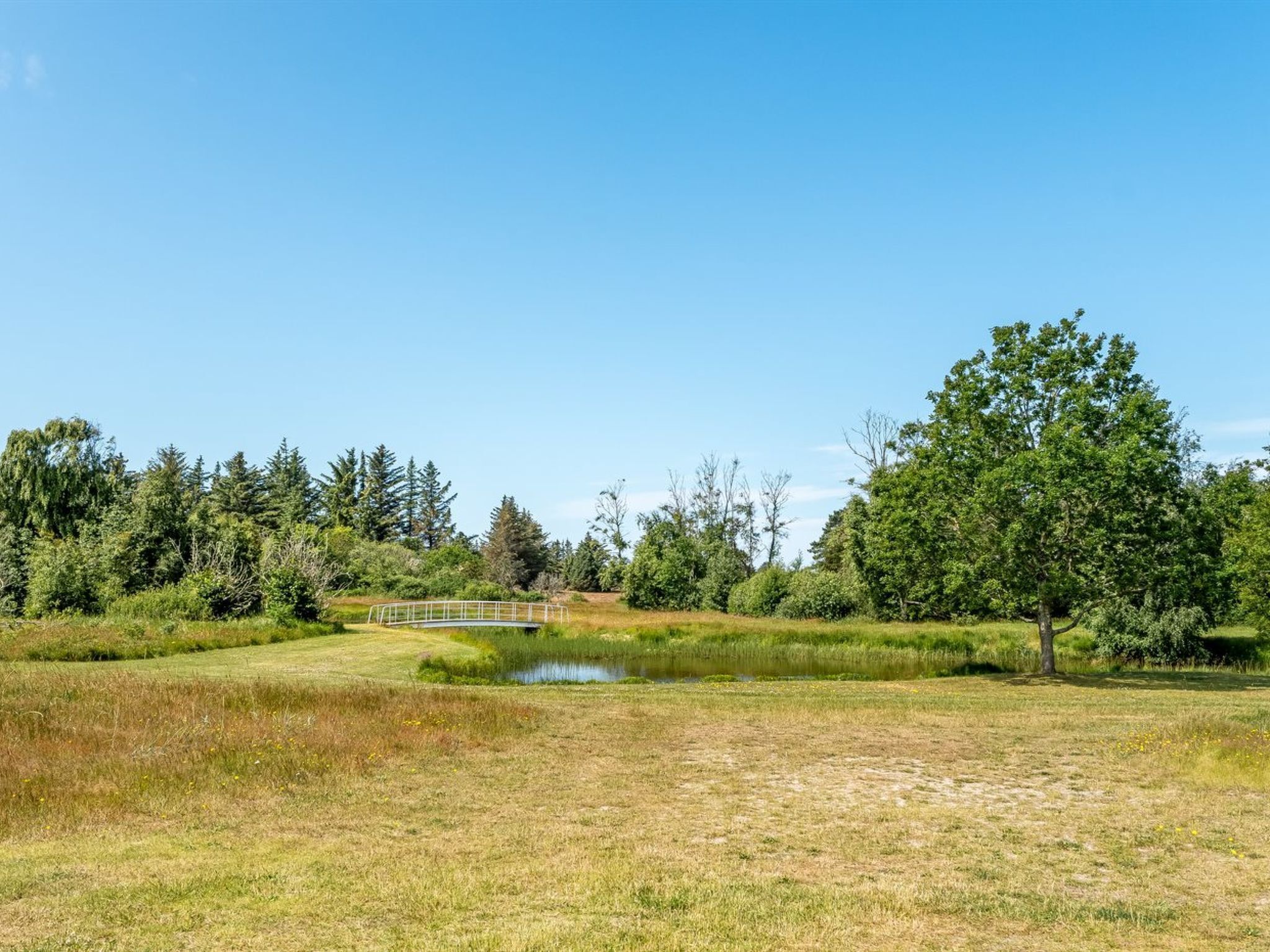 Un paysage naturel avec un petit pont, un étang et de nombreux arbres.
