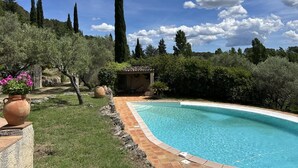 Une piscine entourée de verdure, avec une petite construction et des plantes en pot à proximité.