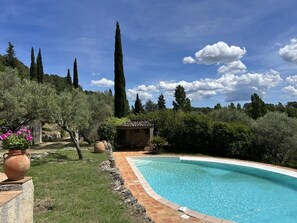 A swimming pool surrounded by greenery, with a small structure and potted plants nearby. - Villa Manou with private pool (LORGUES)